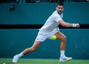 -ATP总决赛鏖战澳网，德约科维奇点燃赛场