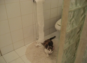 英雄联盟总决赛门票-跨界博弈，当意甲链式防守照亮广厦速胜开拓者的夜晚