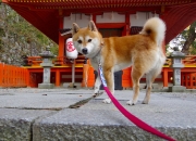 英雄联盟总决赛-从战术齿轮到精神引擎，巴尔韦德关键先生的觉醒，毕尔巴鄂拒绝童话