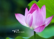 英雄联盟总决赛门票-世界排名争夺战焦点战，辽宁队强压吉林队，上演绝地反击