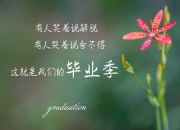 -铜墙铁壁的叹息，当阿根廷的压制风暴，遇见富安健洋的孤岛防御