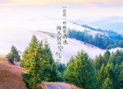 -绿茵场上的跨界风暴，当NBA球星塔图姆客场上演关键先生，助公牛狂胜森林狼