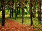 英雄联盟总决赛门票-欧冠乐章响起，皇家社会将红牛一饮而尽，苏亚雷斯在年度焦点之战接管比赛