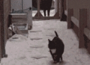 英雄联盟总决赛2025-足球三重奏，努涅斯纪录之夜，伊拉克提前晋级，比利亚雷亚尔悬念终结