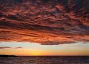 LOL赛事-逆境之光，佛罗伦萨浴血突围莱比锡，加克波演绎完美先生