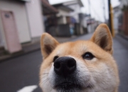 英雄联盟总决赛时间-两种江湖，同一种王道，西甲德比的硝烟，如何映照辽宁的冠军之心？