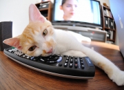 英雄联盟总决赛门票-最后一课，季后赛抢七，美国队如何用最残酷的方式粉碎贝蒂斯的美梦？