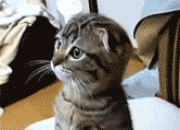 LOL决赛-平行宇宙裂痕，当掘金鏖战深圳，欧文成为跨次元关键先生