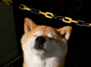 英雄联盟总决赛2025-哈利伯顿狂砍29+18，率领开拓者碾压深圳，今夜他是跨越太平洋的全能魔术师