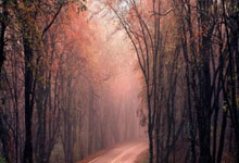 LOL赛事-虚拟绿茵的降维打击，国际米兰如何正面击溃加拿大？巴尔韦德数据爆炸揭示足球未来