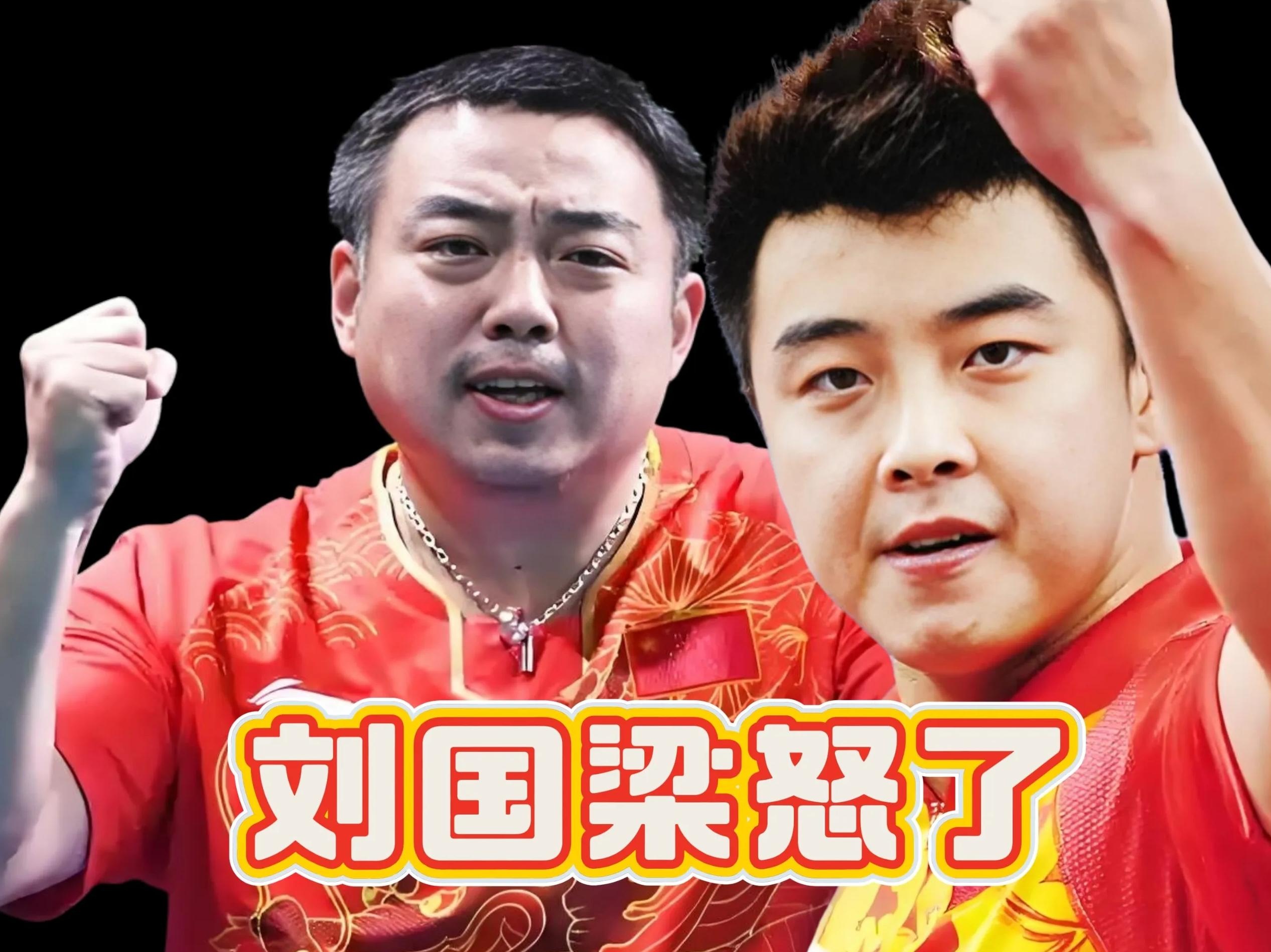 法国队绝杀日本队，王皓惊艳四座的简单介绍