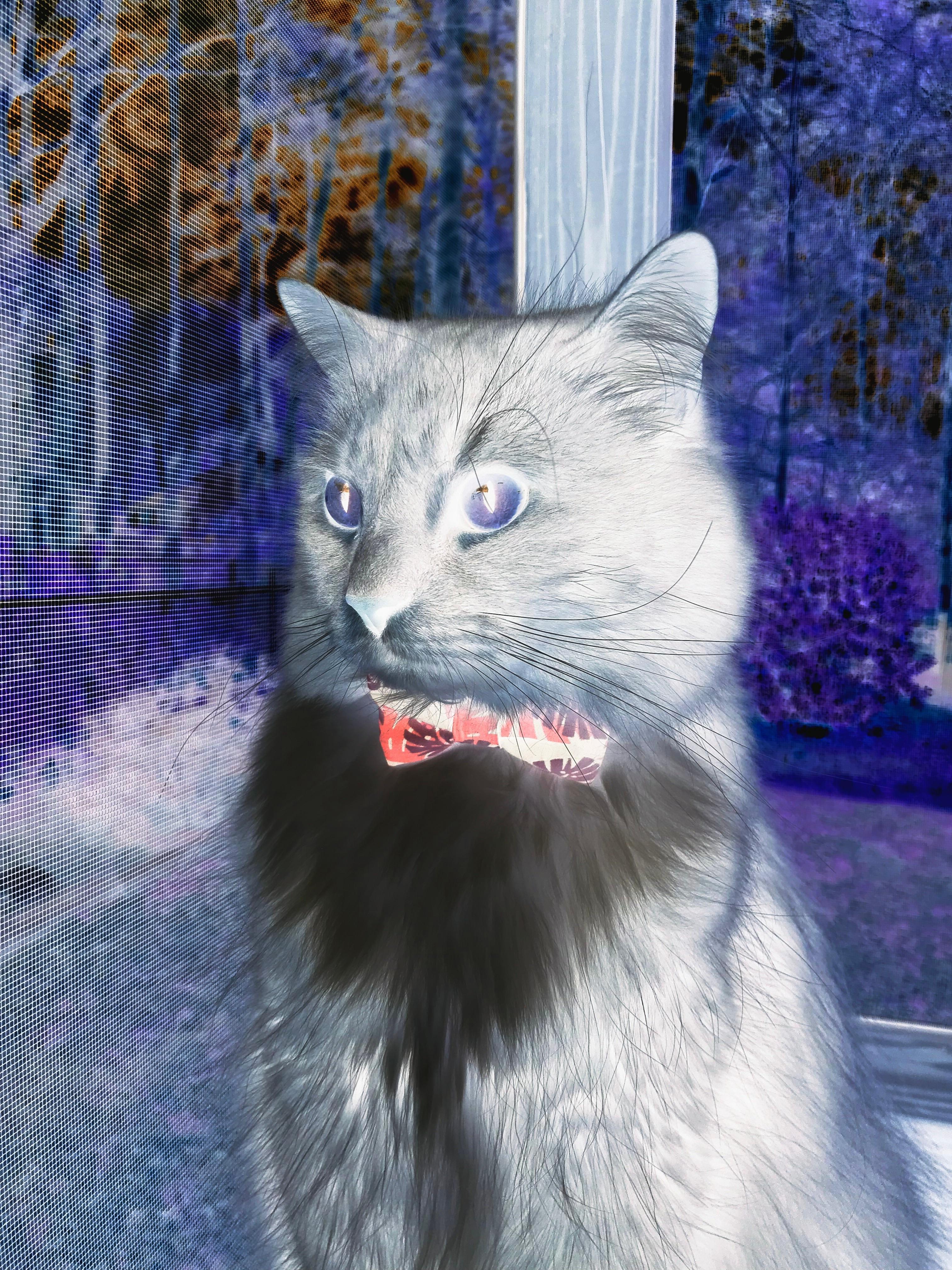 当末节之王遇上压哨艺术,两种胜利,一种伟大