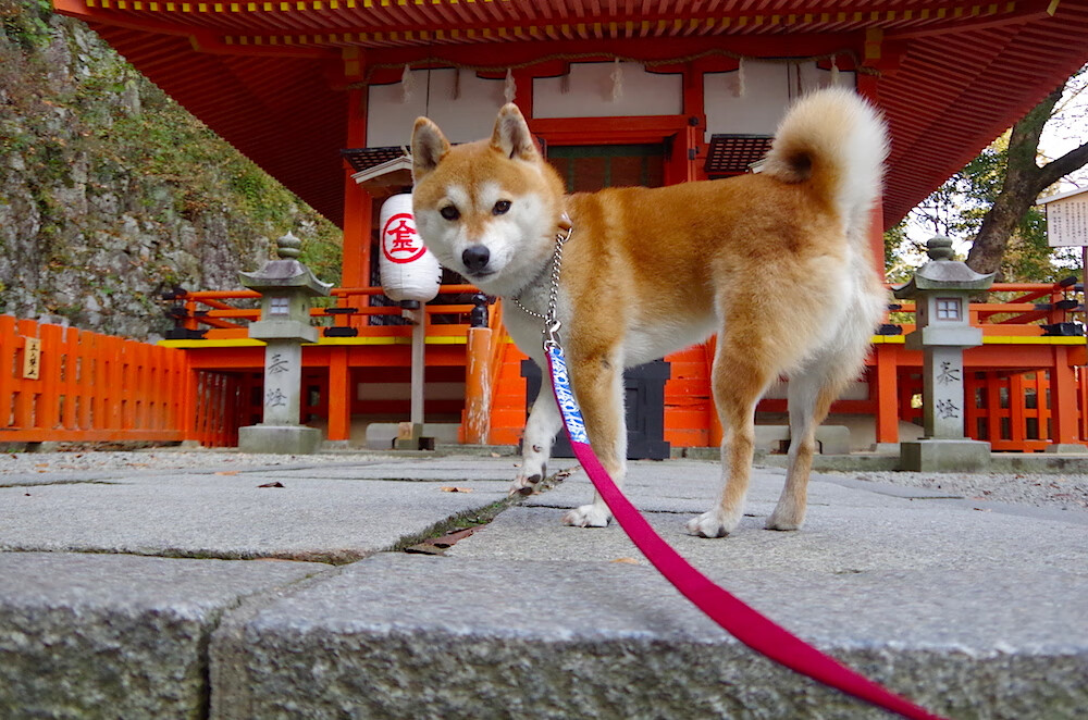 从战术齿轮到精神引擎，巴尔韦德关键先生的觉醒，毕尔巴鄂拒绝童话