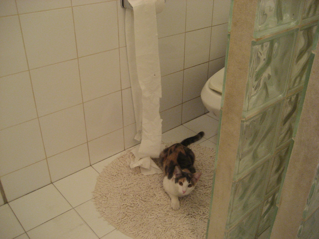 全面性时代，莫德里奇与黄潜共同诠释现代足球胜利密码