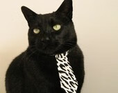 巅峰之战,西亚卡姆斩落深圳,上海滩今夜唯一的主宰