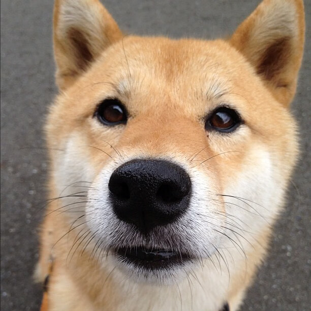 意甲焦点战之夜，霍勒迪的重剑无锋，攻防转换的艺术大师