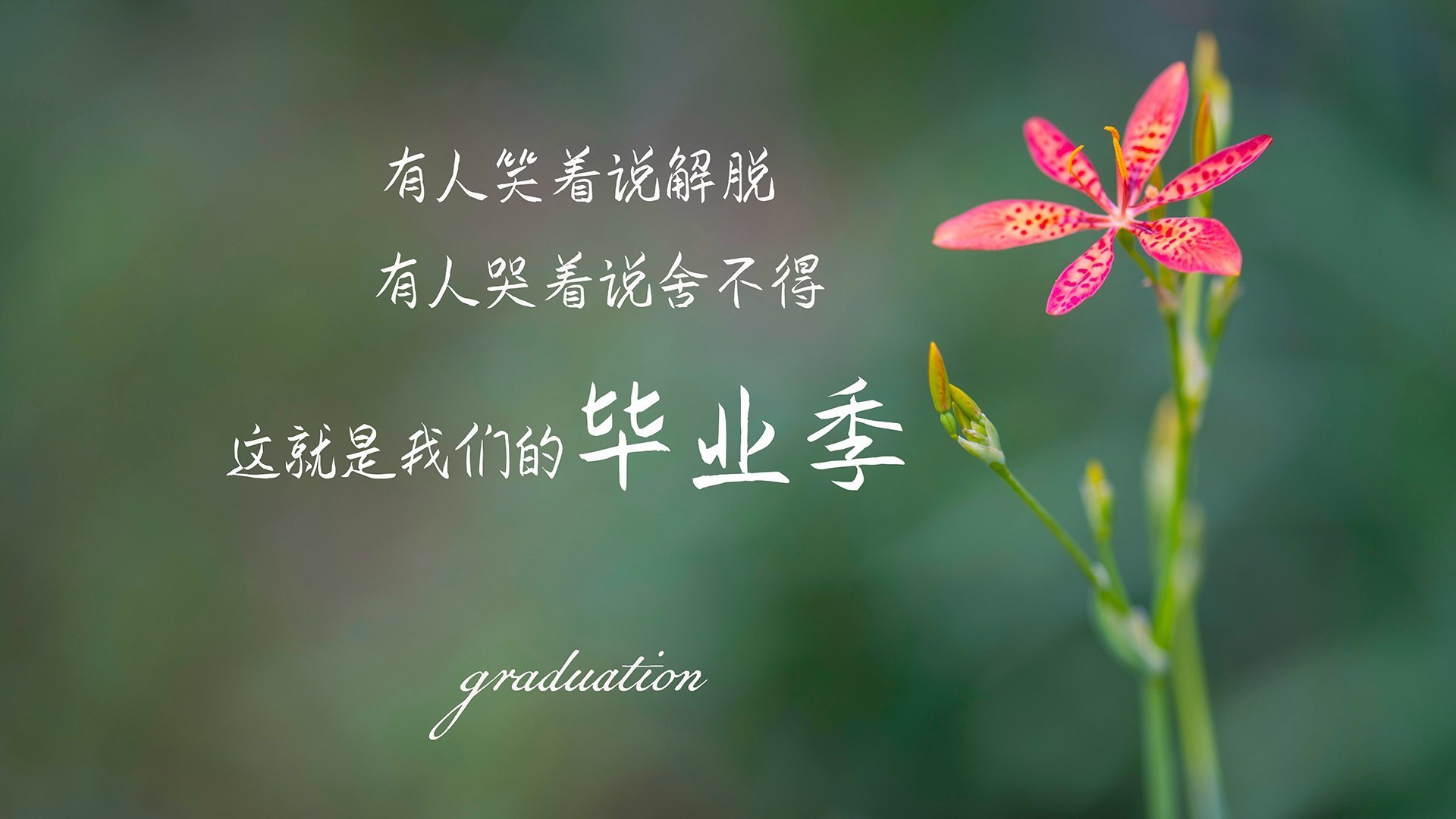 铜墙铁壁的叹息,当阿根廷的压制风暴,遇见富安健洋的孤岛防御