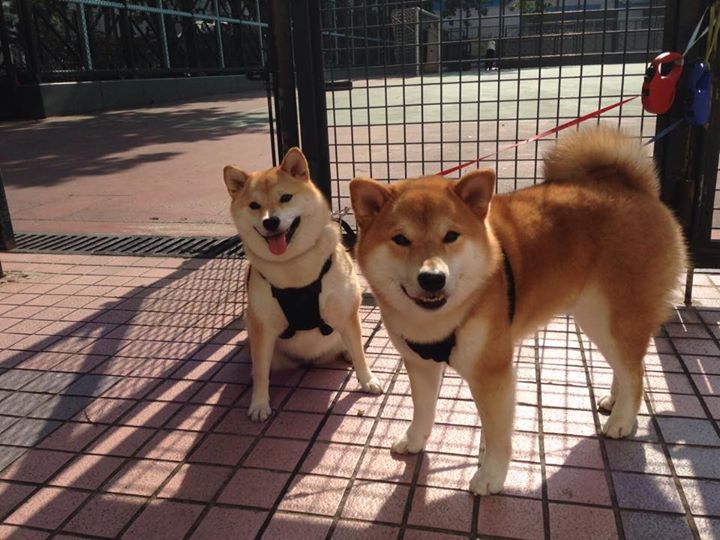 草根逆袭！新疆队加时苦战力克勇士，哈利伯顿52分15助攻独木难支