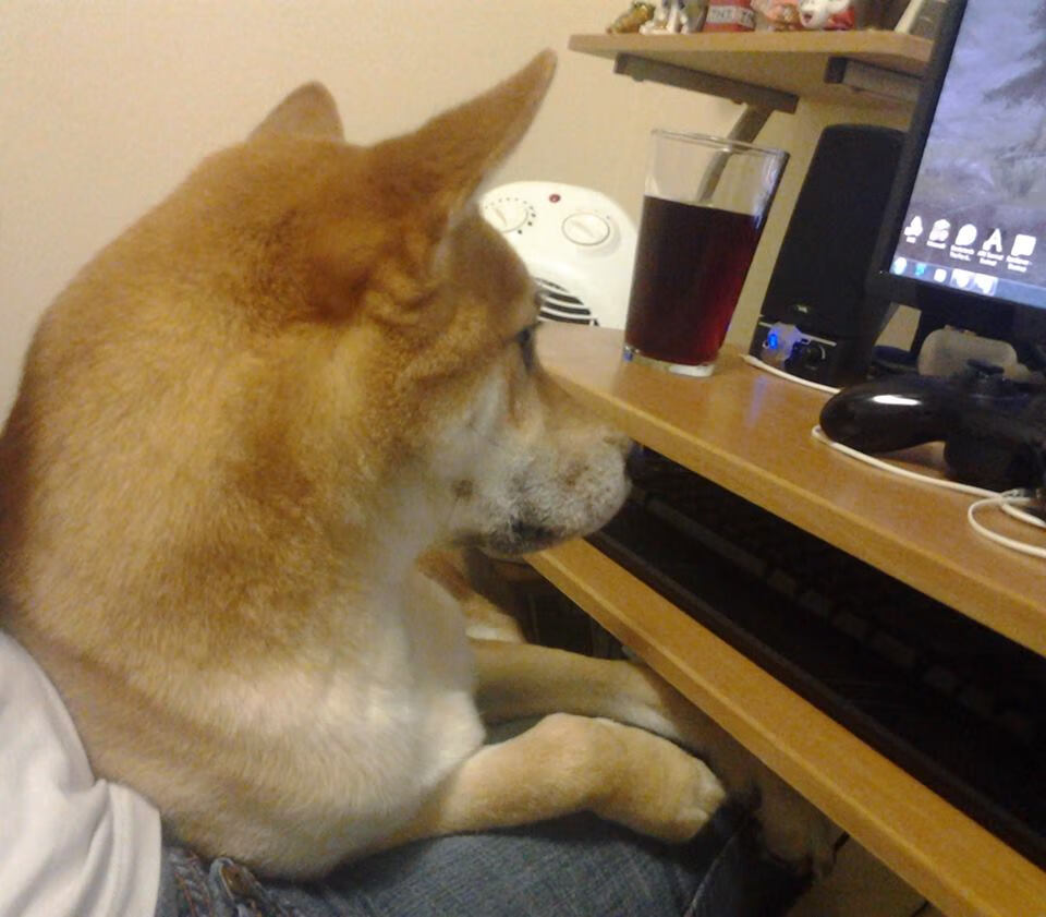 绝境逆转！乌拉圭力克加拿大，沉默羔羊加克波临门一脚破局