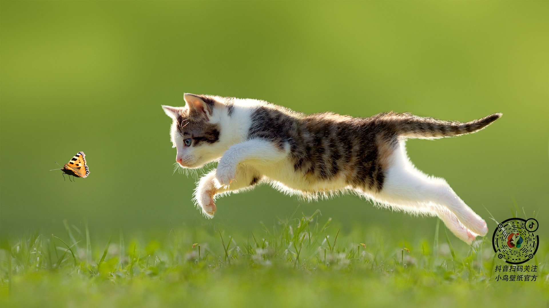 唯一且完美!小贾伦狂飙创纪录,黄蜂压哨绝杀老鹰