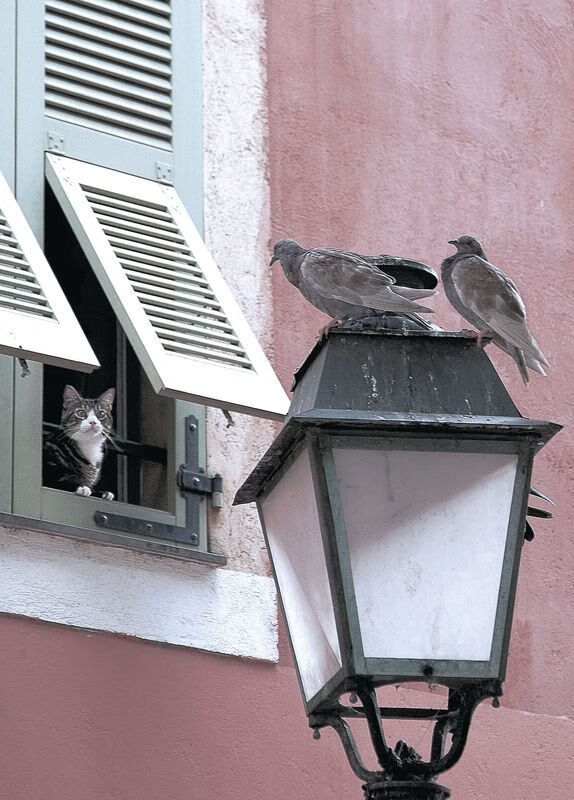 恩佐加时魔法,浇灭德国战车—加纳英雄诞生于105分钟