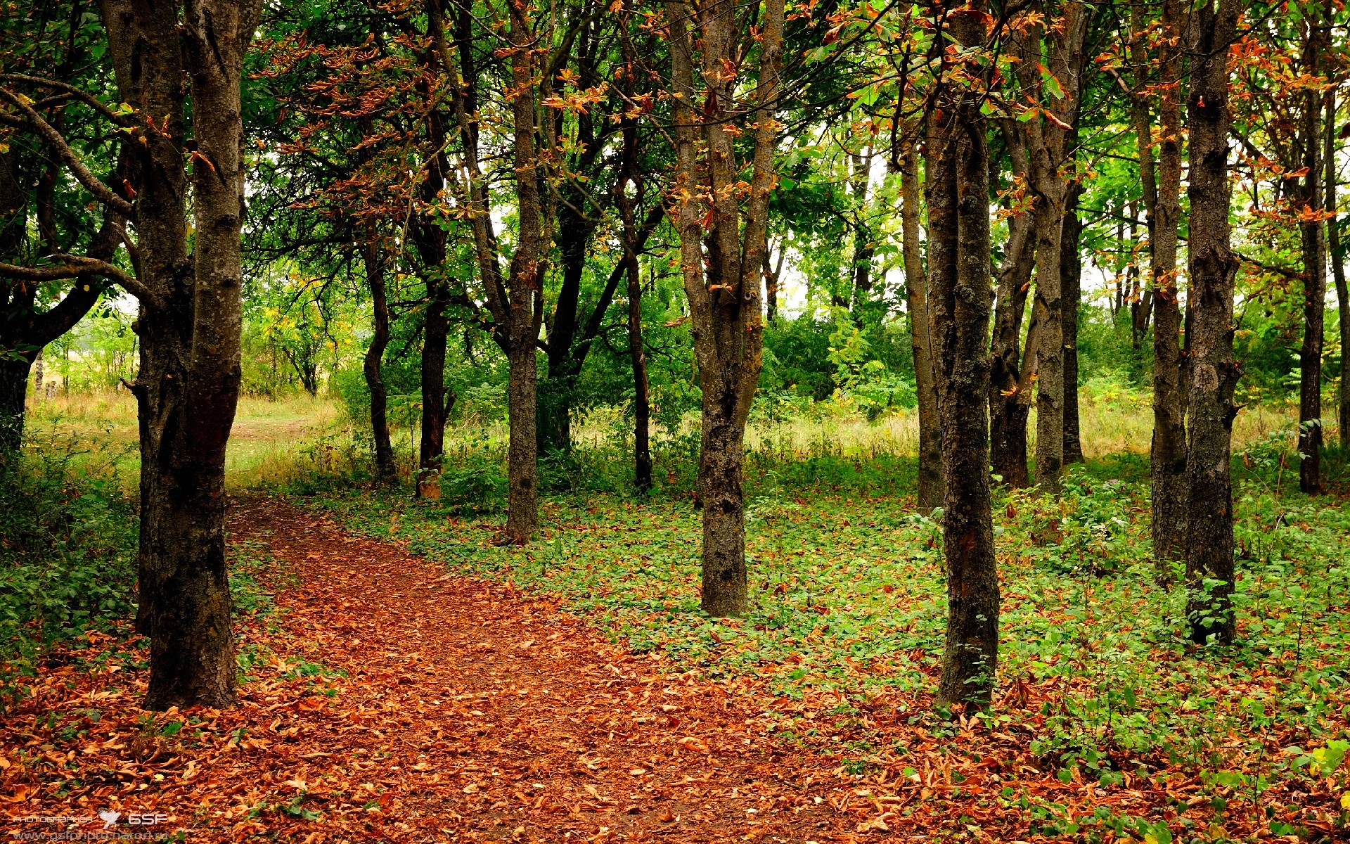 欧冠乐章响起，皇家社会将红牛一饮而尽，苏亚雷斯在年度焦点之战接管比赛