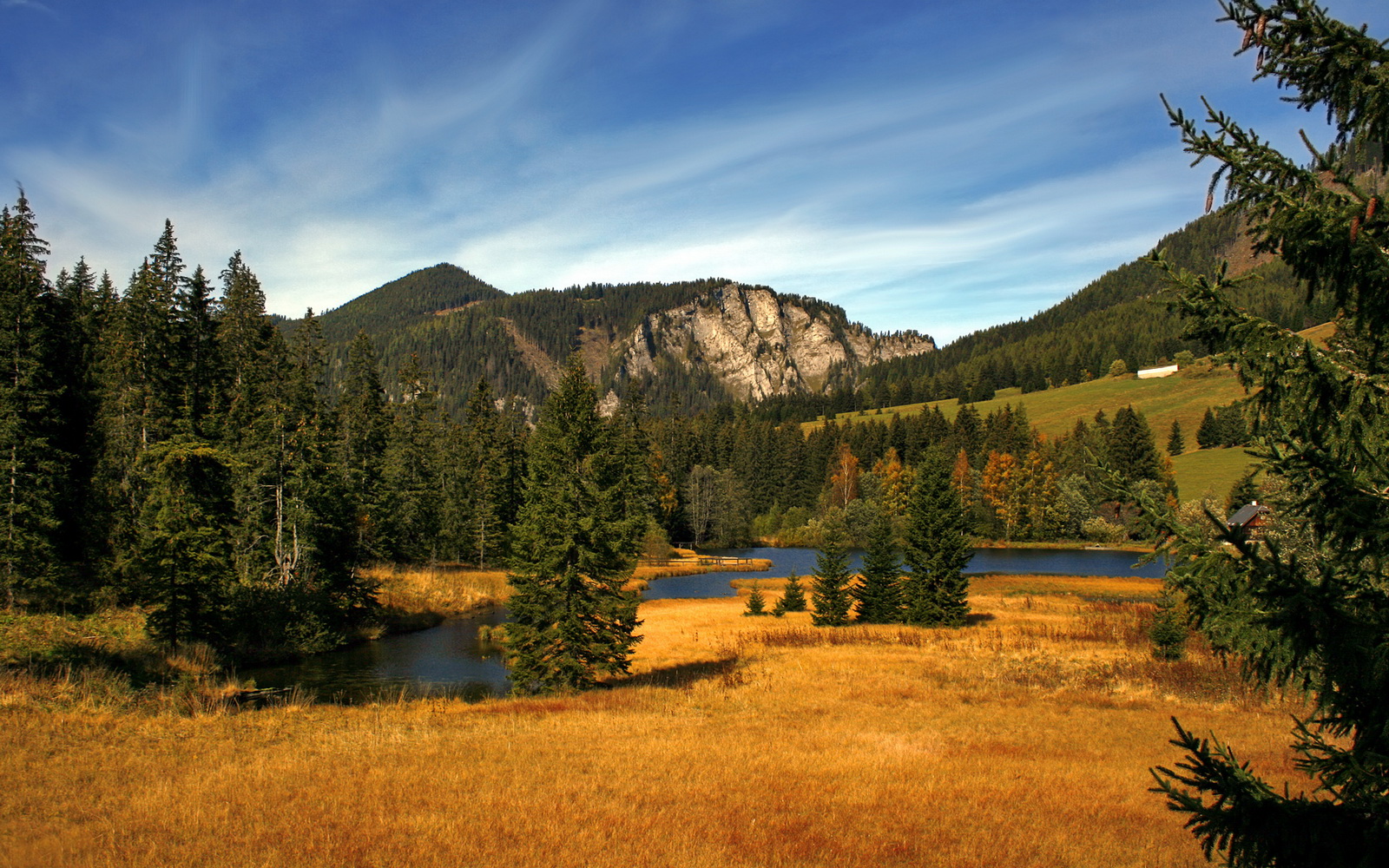 历史纠葛与意外结局，2026世界杯焦点战，智利如何以地震战术掀翻爱尔兰的百年足球梦