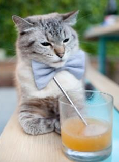 跨越质疑的救赎之战，哈登如何带领湖人逆转篮网