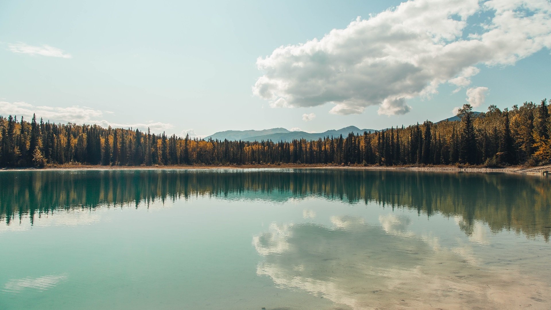 铁血五虎量子穿越战上海,一场跨越二十年的篮球哲学对话