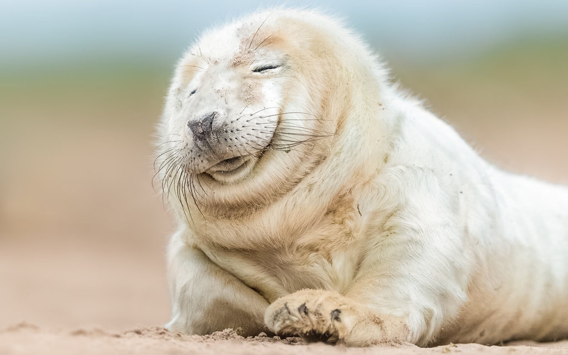 孤胆英雄与铁血军团，詹姆斯的神迹与活塞末节的团队胜利