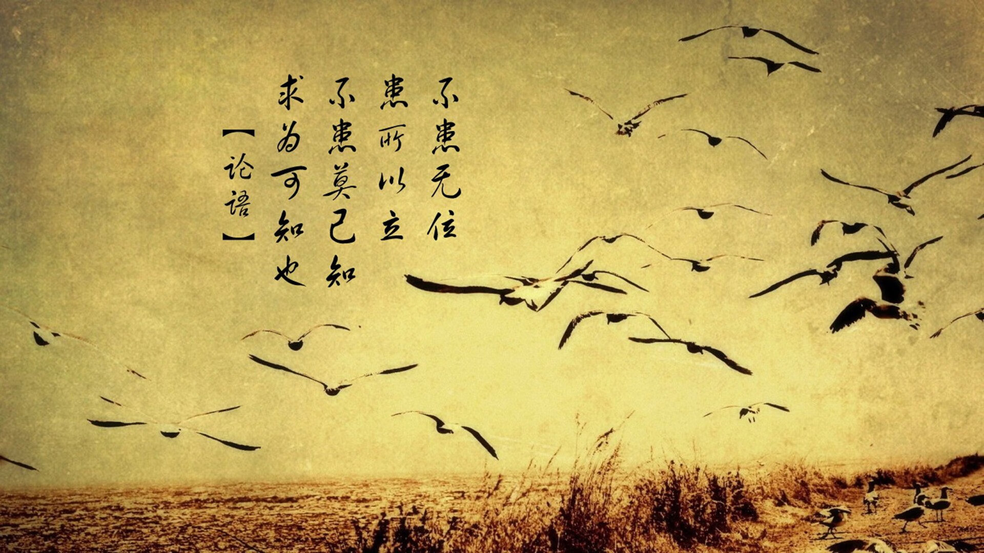 终破心魔！京多安一己之力撕裂铁血战车，绿衫军上演史诗级翻盘