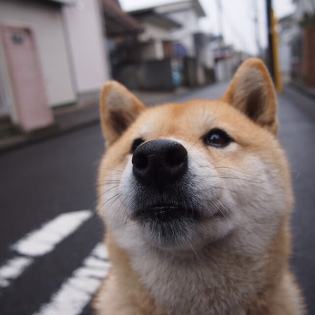 两种江湖,同一种王道,西甲德比的硝烟,如何映照辽宁的冠军之心?