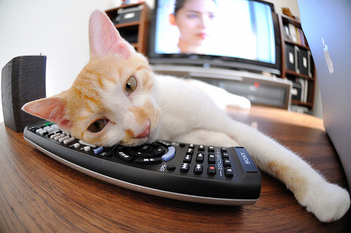 最后一课,季后赛抢七,美国队如何用最残酷的方式粉碎贝蒂斯的美梦?