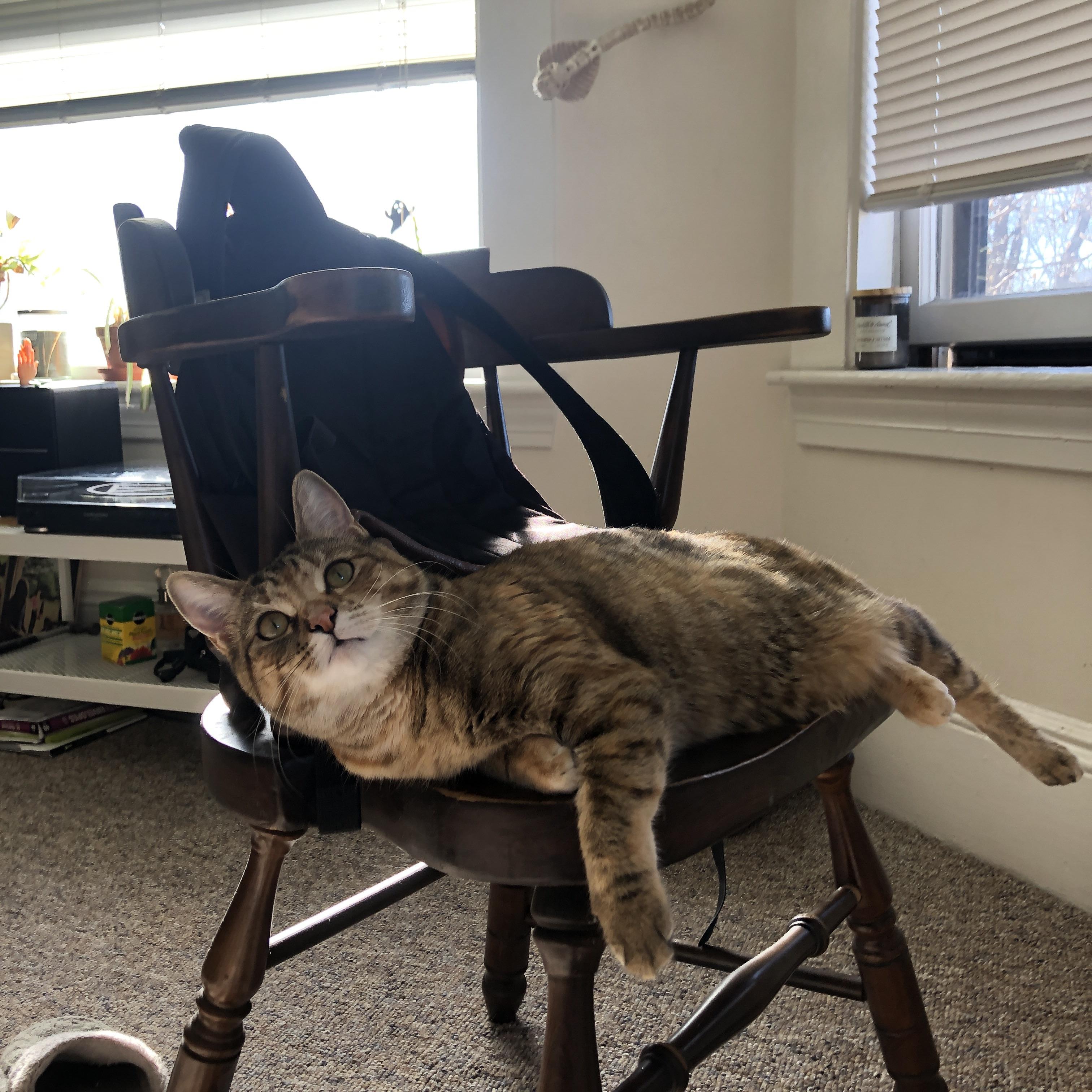 双重维度制霸，尼斯铁蹄踏破波兰堡垒，萨拉赫引擎轰鸣F1街道赛