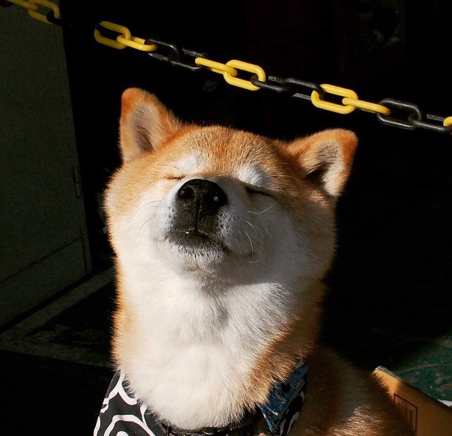 哈利伯顿狂砍29+18，率领开拓者碾压深圳，今夜他是跨越太平洋的全能魔术师