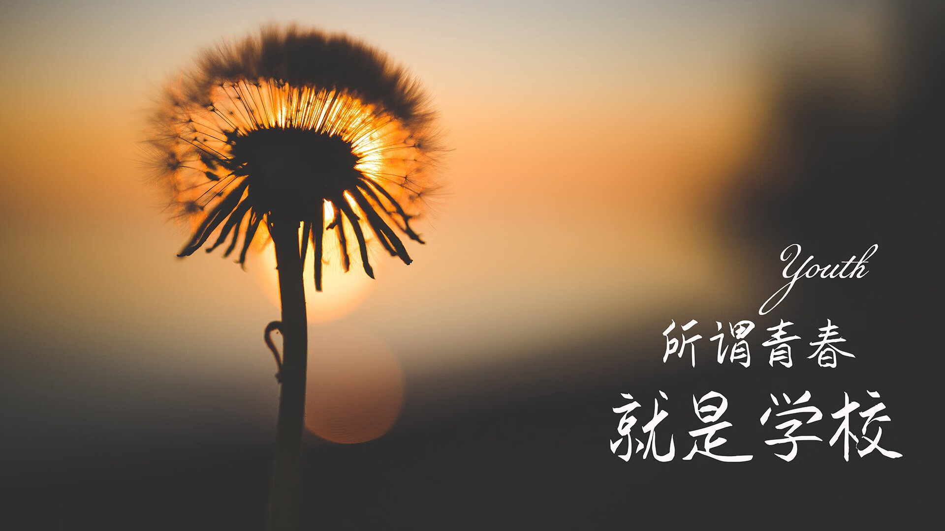 独幕绝唱,2026世界杯F组的唯一剧本,当星条旗压碎苍穹,三笘薰在最后一秒改写神谕