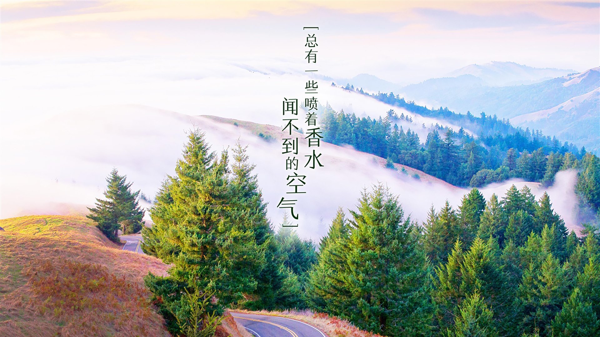 2026世界杯C组惊世之战,沙特铁蹄横扫哥伦比亚,费利克斯孤星耀世,进攻狂潮改写足坛秩序